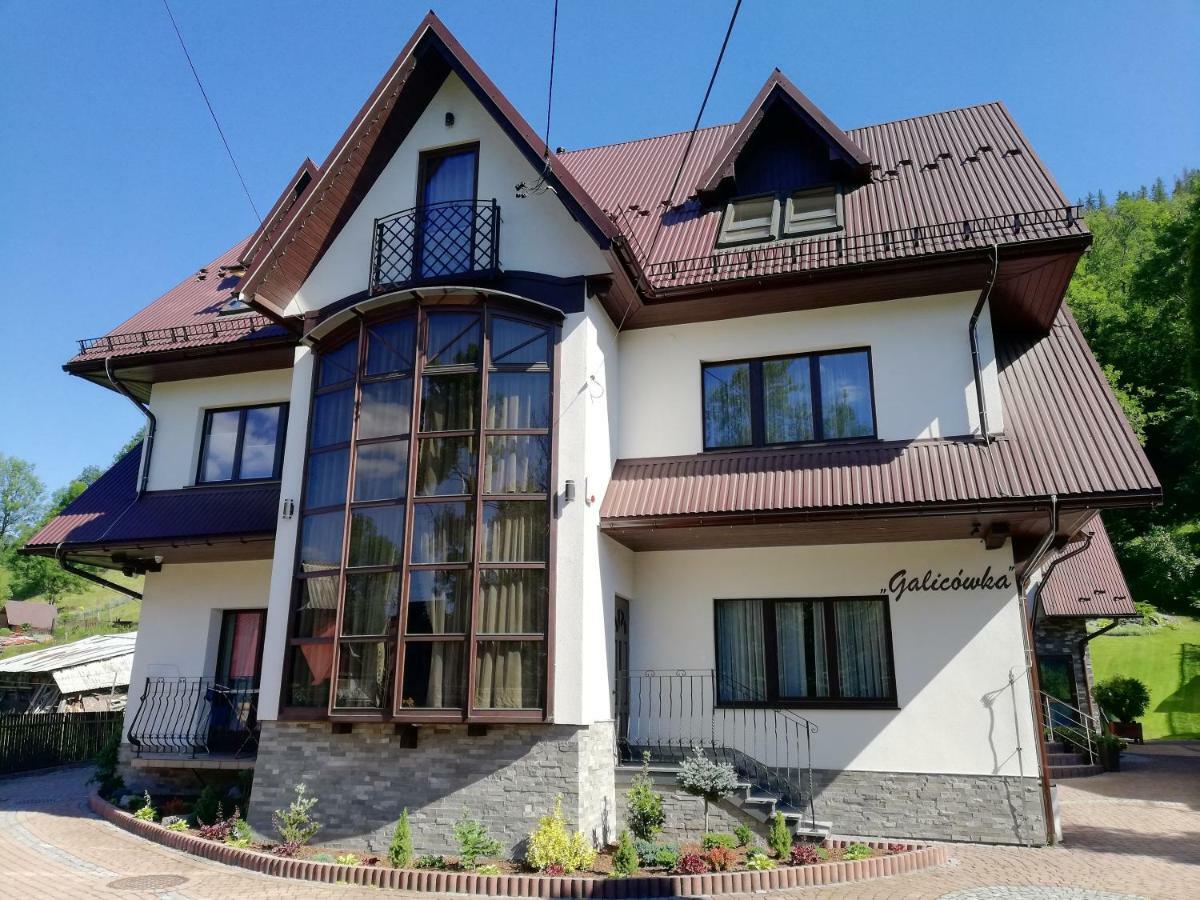 ポロニン Galicowka Bed & Breakfast エクステリア 写真